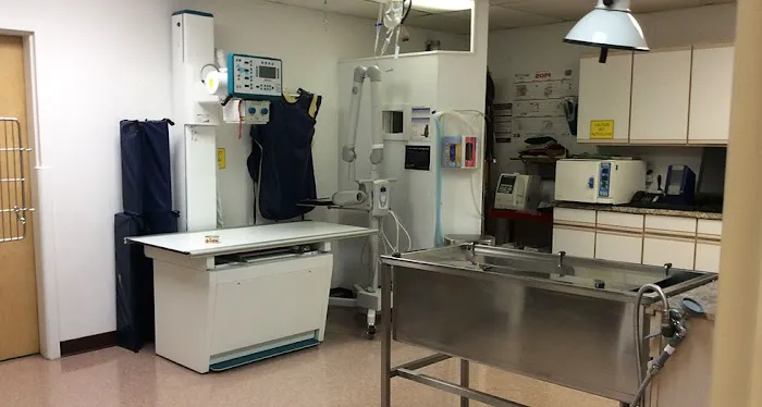 Animal Clinic Of Tower Drive Picture 8
