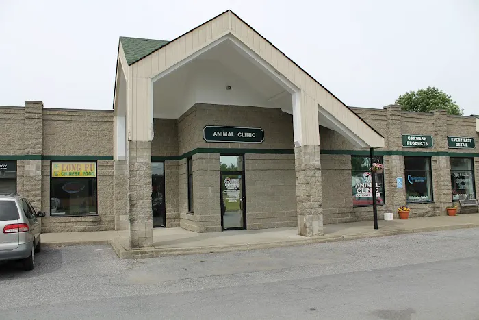 Animal Clinic Of Tower Drive Picture 9