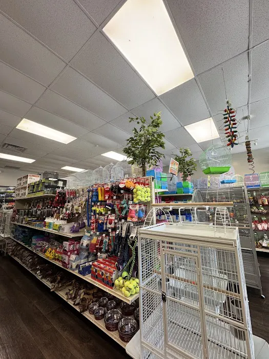 Love Bird Pet Store Picture 5
