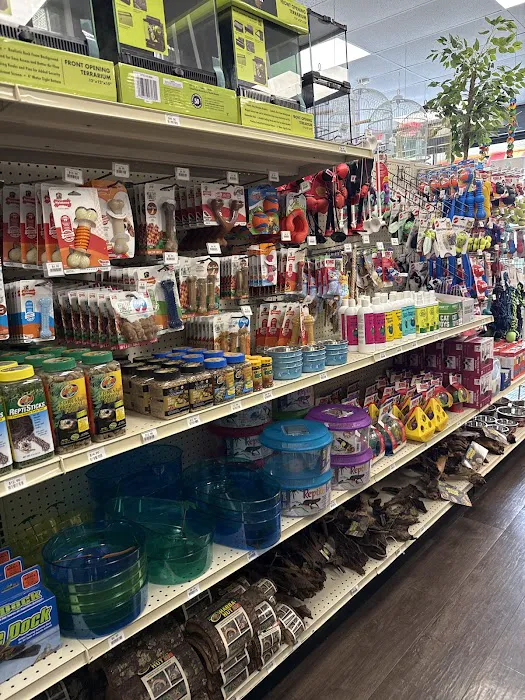 Love Bird Pet Store Picture 1