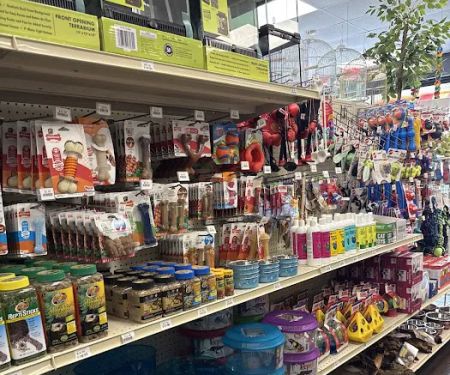 Love Bird Pet Store