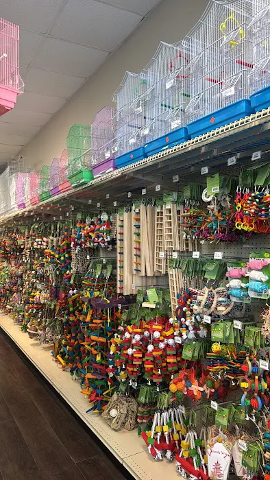 Love Bird Pet Store Picture 10