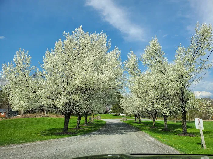 Pine Bush Equine Services and Veterinary Hospital Picture 2