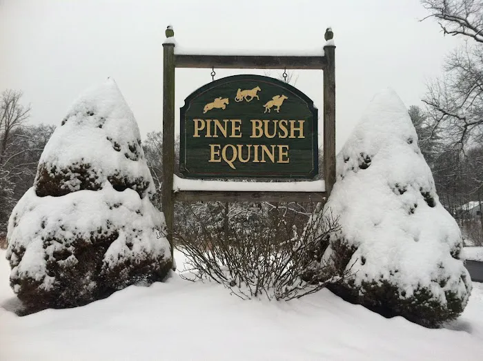 Pine Bush Equine Services and Veterinary Hospital Picture 4