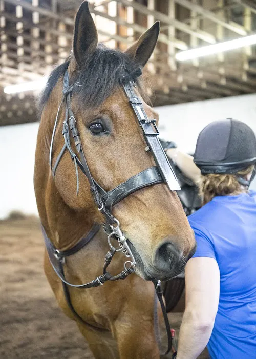 Pine Bush Equine Services and Veterinary Hospital Picture 1