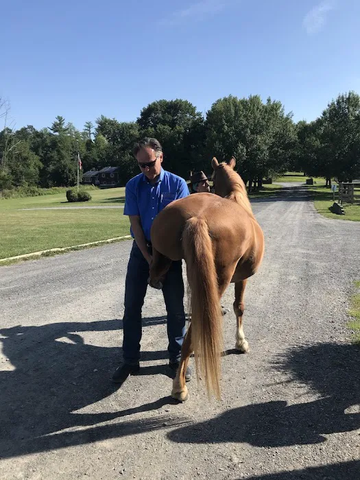 Pine Bush Equine Services and Veterinary Hospital Picture 7