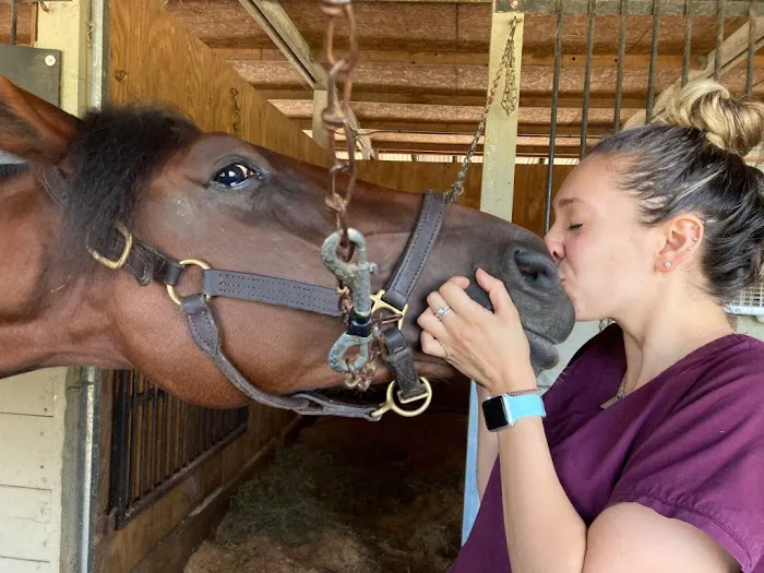 Pine Bush Equine Services and Veterinary Hospital Picture 5