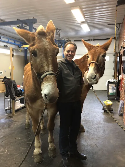 Pine Bush Equine Services and Veterinary Hospital Picture 6