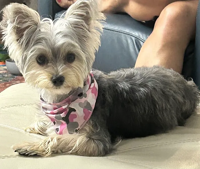 Pet Supplies Plus Conway Plaza Picture 8