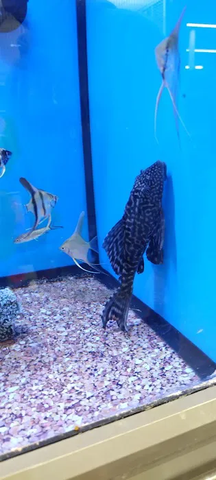 Pet Supplies Plus Conway Plaza Picture 3