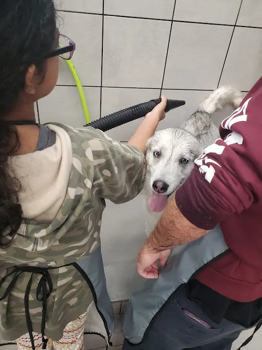 Pet Supplies Plus Conway Plaza Picture 5