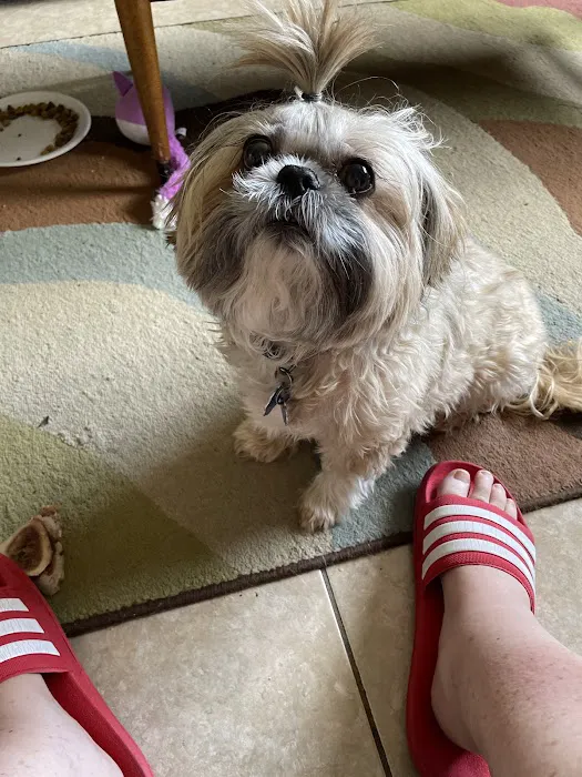 Pet Supplies Plus Conway Plaza Picture 2