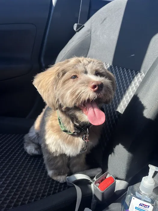 Pet Supplies Plus Conway Plaza Picture 7