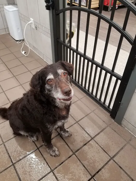 Pet Supplies Plus Conway Plaza Picture 6