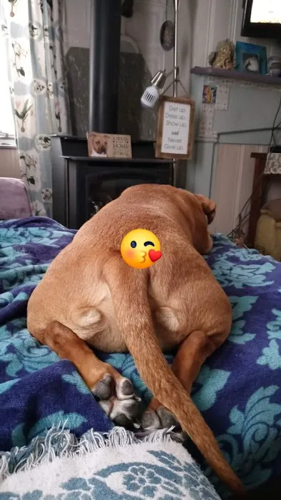 Bullville Animal Hospital Picture 3