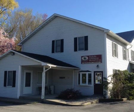 Bullville Animal Hospital