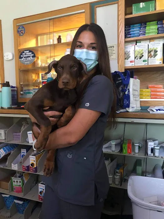 VCA Pine Bush Animal Hospital Picture 9