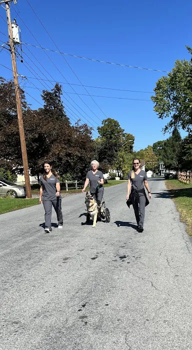 VCA Pine Bush Animal Hospital Picture 3