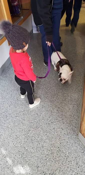 VCA Pine Bush Animal Hospital Picture 2