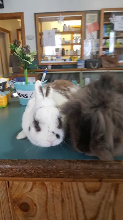 VCA Pine Bush Animal Hospital Picture 8