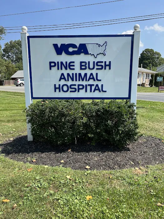 VCA Pine Bush Animal Hospital Picture 1
