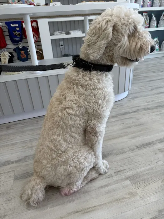 The Pawtastic Pet Shop Picture 2