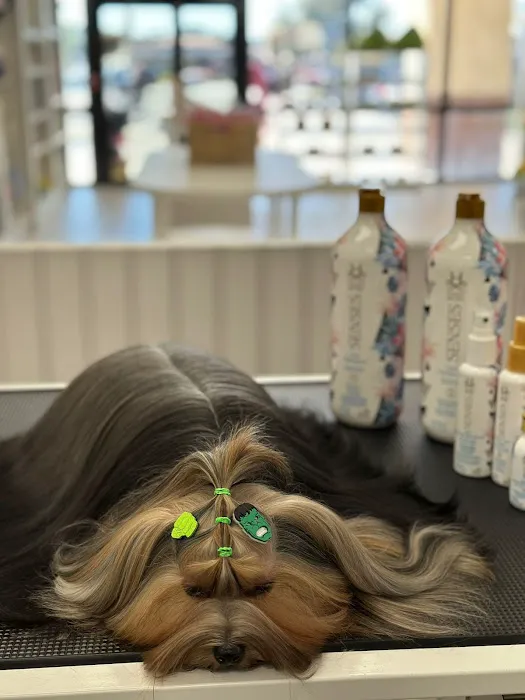 The Pawtastic Pet Shop Picture 7