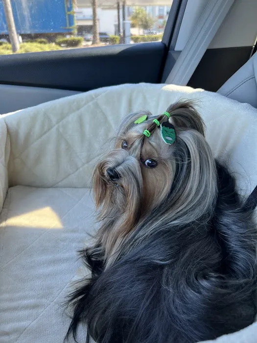 The Pawtastic Pet Shop Picture 8