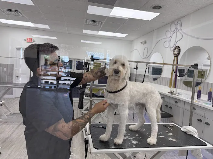 The Pawtastic Pet Shop Picture 3