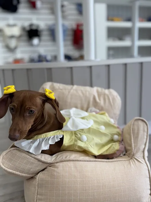 The Pawtastic Pet Shop Picture 9