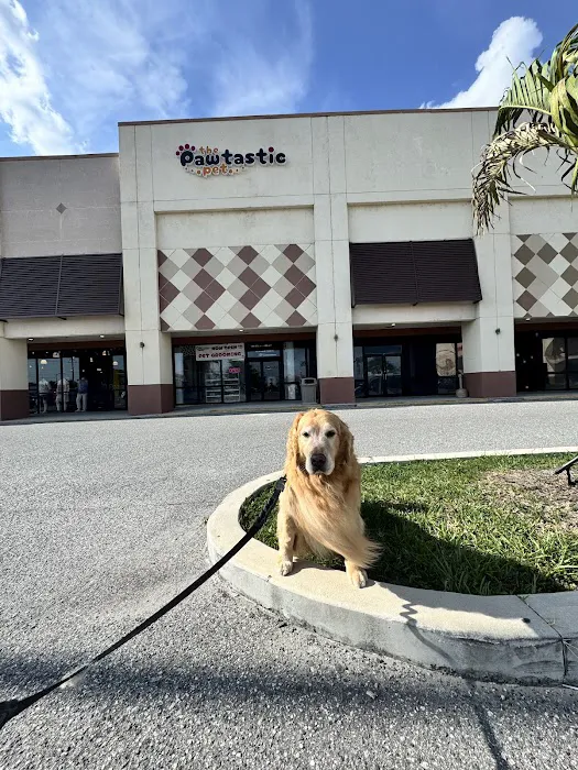 The Pawtastic Pet Shop Picture 5