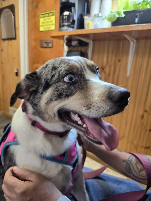 Gardiner Animal Hospital Picture 4