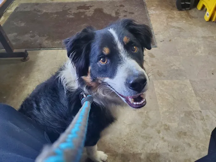 Gardiner Animal Hospital Picture 7