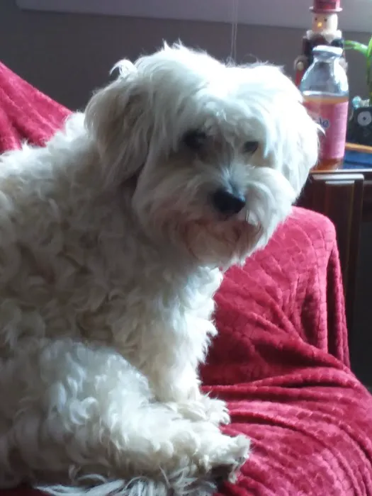 Gardiner Animal Hospital Picture 1