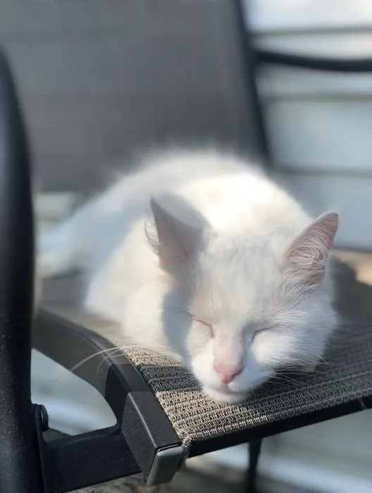 Gardiner Animal Hospital Picture 8