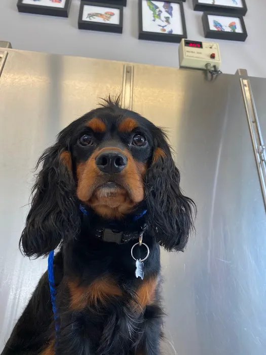 Walker Valley Veterinary Hospital Picture 10