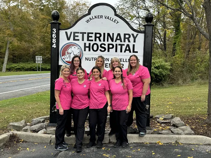 Walker Valley Veterinary Hospital Picture 8