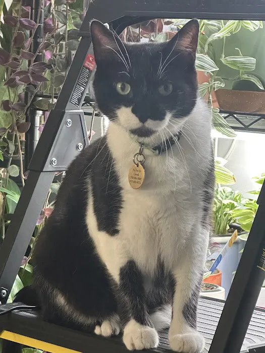 Walker Valley Veterinary Hospital Picture 3