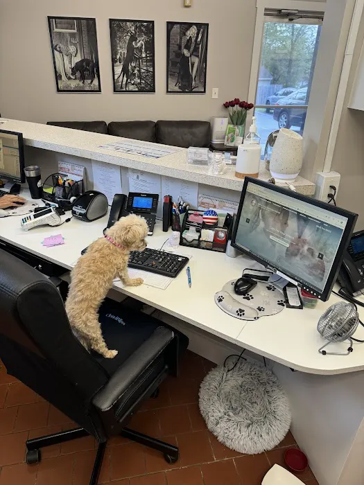 Walker Valley Veterinary Hospital Picture 6