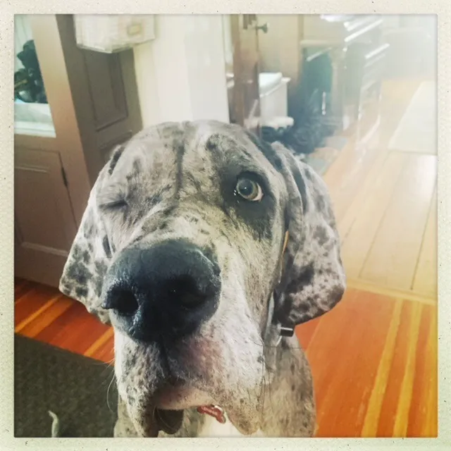 Walker Valley Veterinary Hospital Picture 9