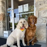 Walker Valley Veterinary Hospital ico