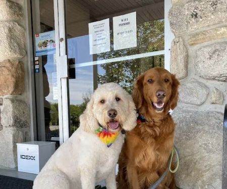 Walker Valley Veterinary Hospital