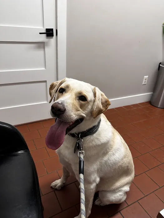 Walker Valley Veterinary Hospital Picture 2