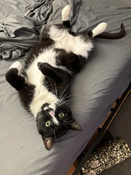 Walker Valley Veterinary Hospital Picture 7