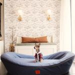 House of Sploot Pet Shop