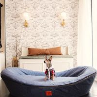 House of Sploot Pet Shop ico