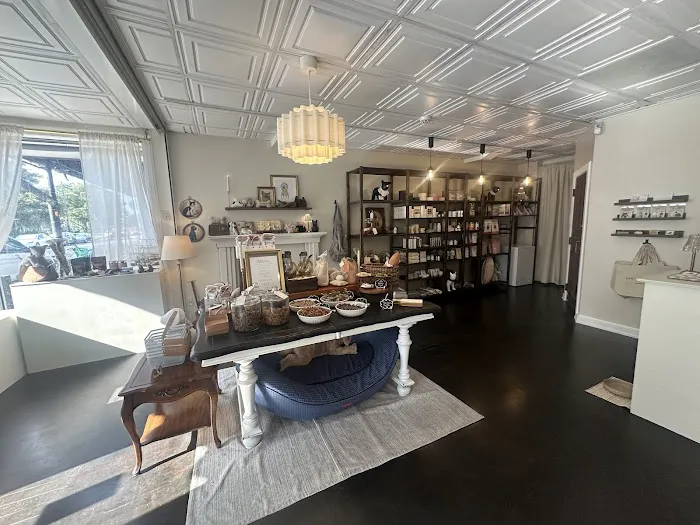 House of Sploot Pet Shop Picture 2