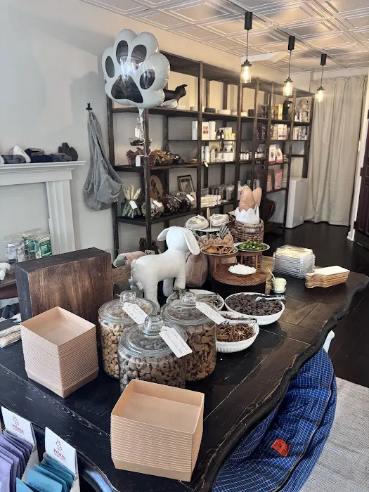 House of Sploot Pet Shop Picture 9