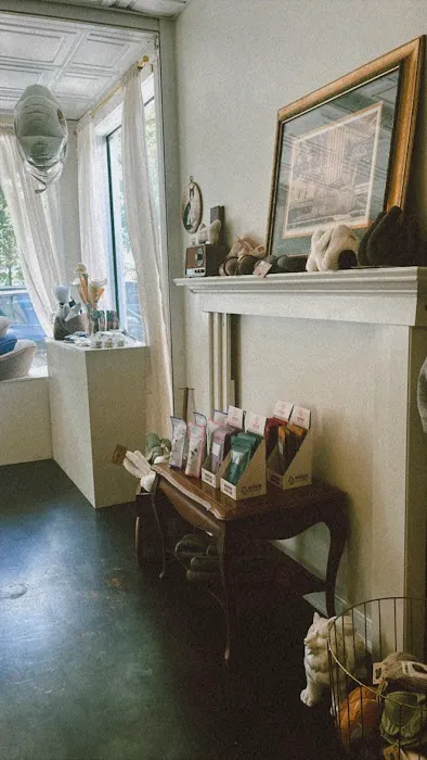 House of Sploot Pet Shop Picture 4