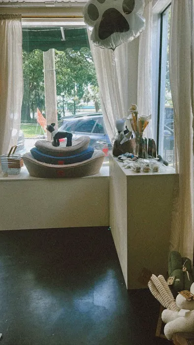 House of Sploot Pet Shop Picture 8